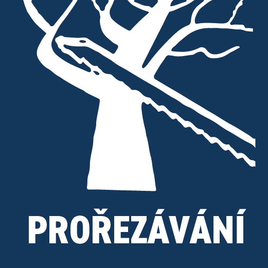 prořezávání