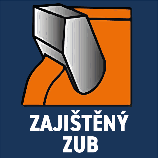 zajištěný zub